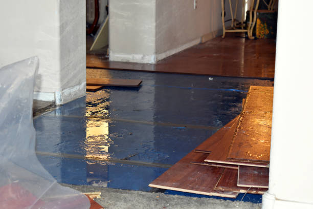 Professional Flood Cleanup technician working in New Douglas, IL
